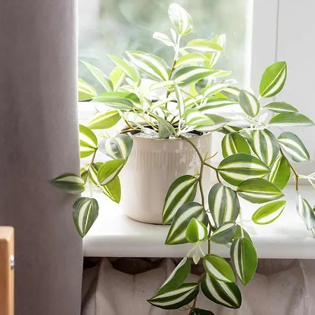 Bright With Desk Ideal For Remote Work By Renters דירה *